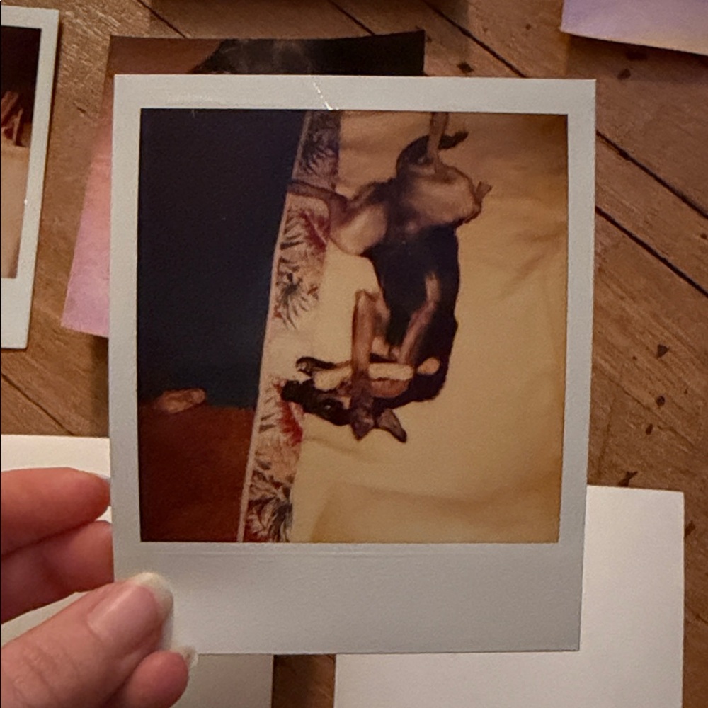 Vintage Dog Photo Collection - Picture 6 of 12